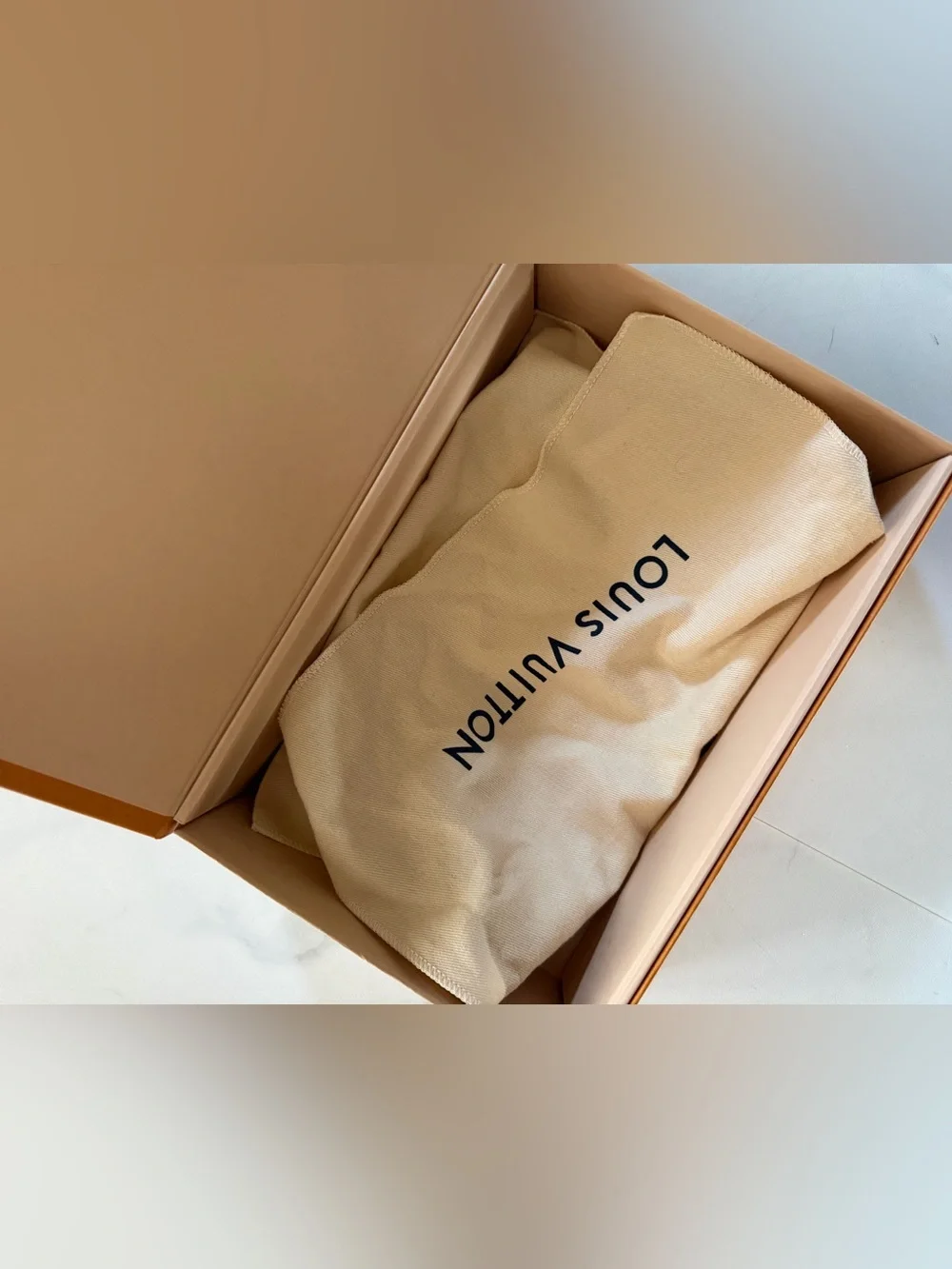 Louis Vuitton authentic louis